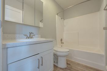 A bathroom with a sink and a toilet